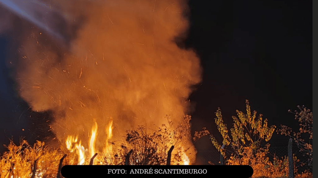 Incêndio em vegetação de clube na zona Leste de Marília mobiliza Bombeiros e assusta moradores da&nbsp;região