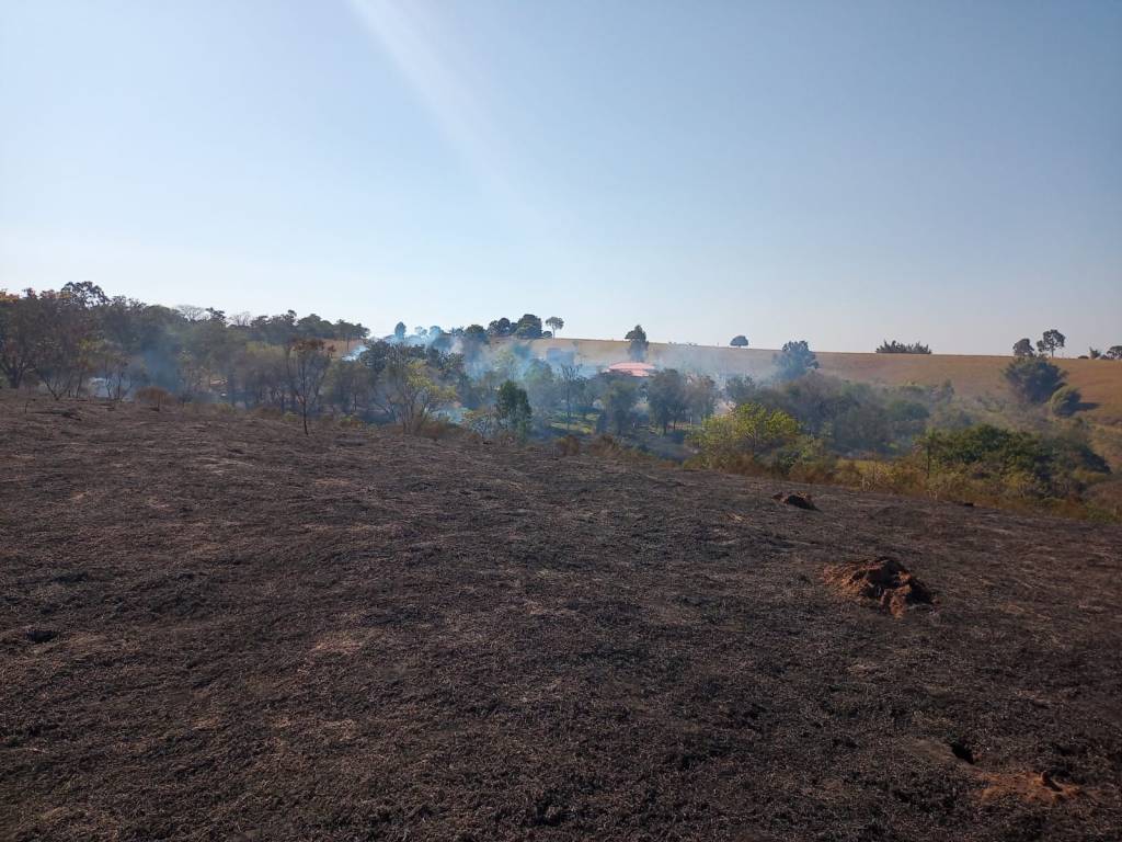 Incêndio em Vegetação de 60 mil m² causa destruição e morte de animais silvestres em&nbsp;Marília