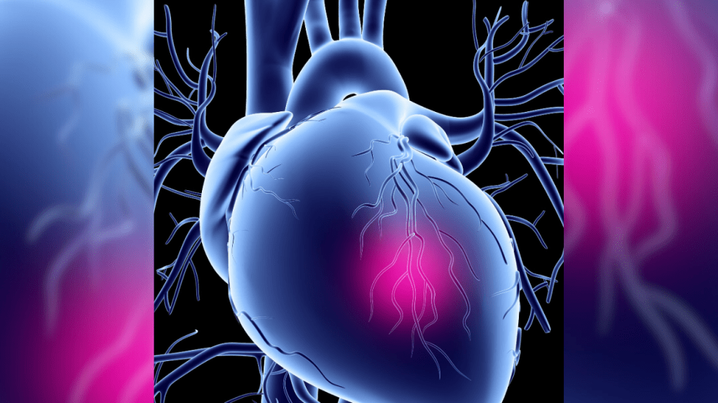 Dia Mundial do Coração: Combater a obesidade é passo importante na prevenção de doenças&nbsp;cardíacas