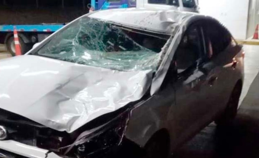 Paloma Libânio Superintendente do HC sofre acidente na SP-294 próximo a&nbsp;Duartina