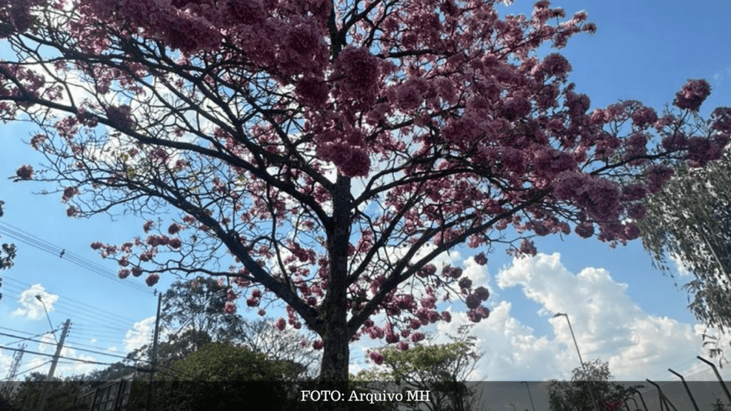 Primavera começa às 3h50 deste&nbsp;sábado
