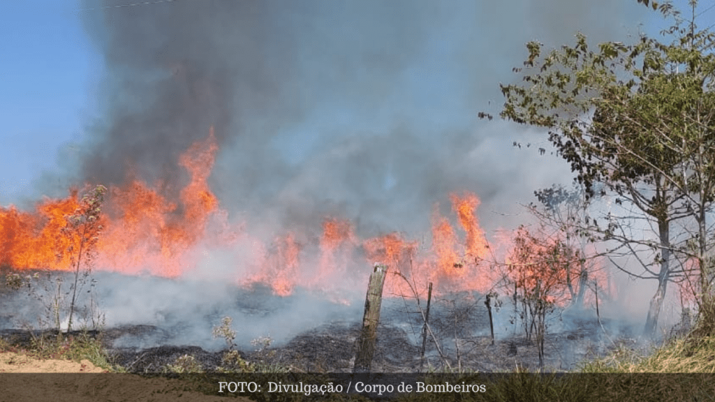 Onda de Incêndios em Vegetação Mobiliza 100% do Corpo de Bombeiros em&nbsp;Marília