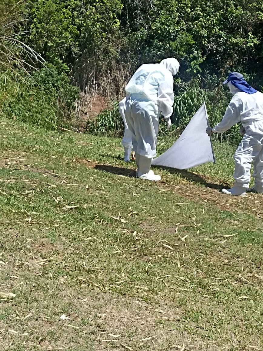 Marília confirma mais um caso positivo de Febre Maculosa no distrito rural de&nbsp;Avencas