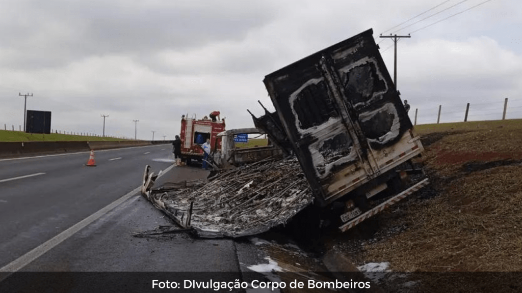 30 mil codornas morrem após caminhão que eram transportadas pegar fogo em rodovia da&nbsp;região