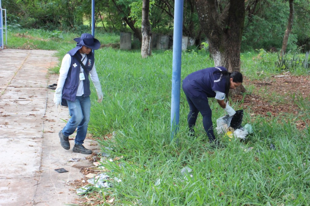 Escorpião: Secretaria da Saúde intensifica o combate aos animais&nbsp;peçonhentos