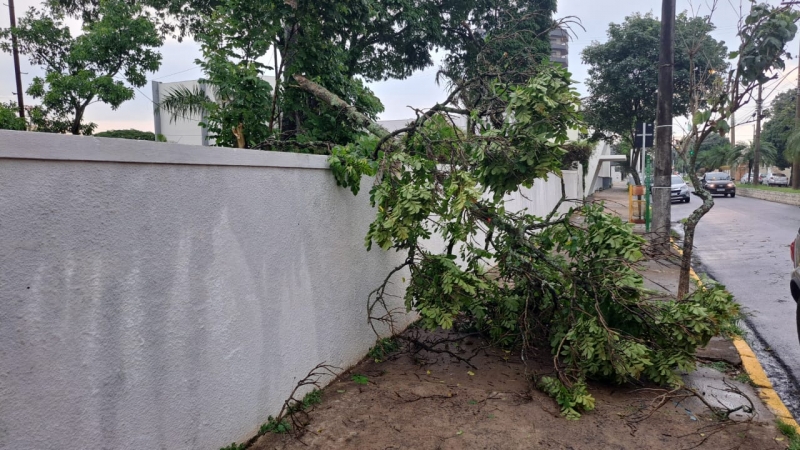 Garça contabiliza estragos causados pelos forte ventos da última sexta-feira&nbsp;(03)