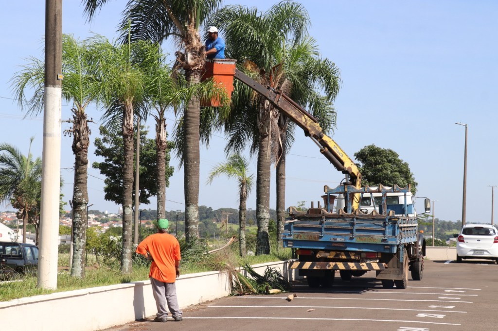 Mutirão de emergência conclui limpeza de canteiros de avenidas, o trabalho segue nos próximos dias em&nbsp;Marília