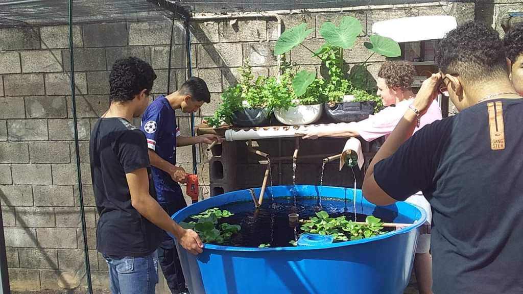 Biblioteca Municipal de Marília realiza exposição sobre aquaponia até 31 de&nbsp;janeiro
