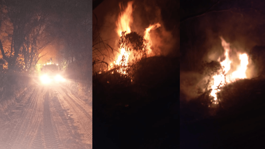 Fogo: Incêndio Próximo à Praça de Pedágio de Oriente Atinge Pastagem e Plantação de Eucaliptos na&nbsp;SP-294