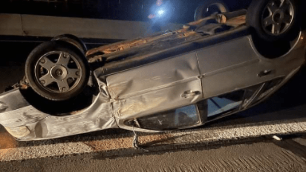 Atropelamento de cavalo desencadeia série de acidentes na SP-294 na&nbsp;Região