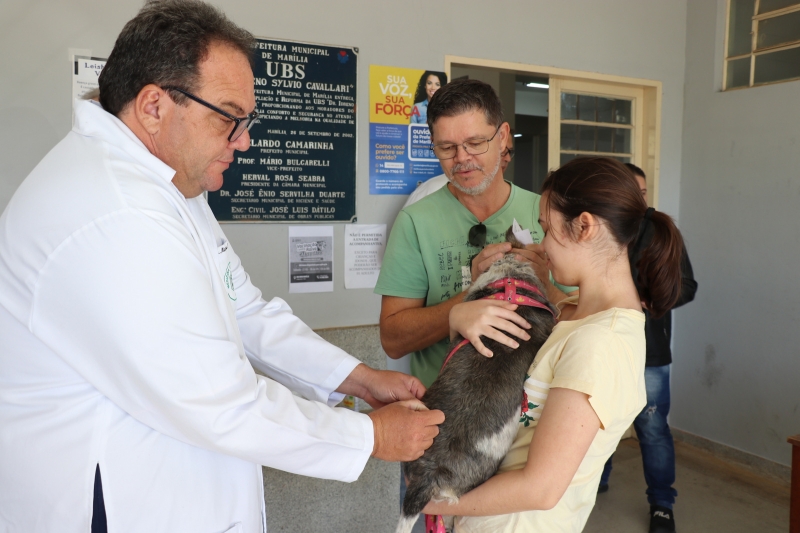 Prefeitura promove vacinação contra a raiva em cães e gatos neste sábado 24 de&nbsp;Fevereiro