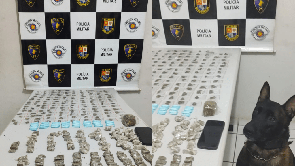 Equipe K9 do 13º BAEP prende suspeito de tráfico e apreende drogas na zona Oeste de&nbsp;Marília