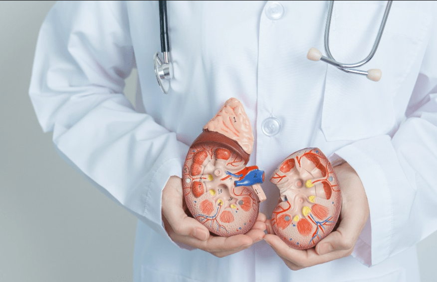 Dia Mundial do Rim: Saiba sobre os cuidados para prevenir doenças&nbsp;renais