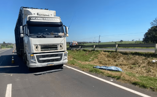 Idoso de 76 anos morre após ser atropelado por carreta boiadeira na BR-153 na&nbsp;Região