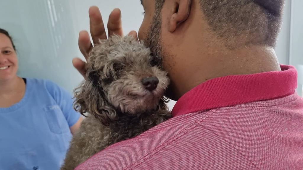 Pets perdidos em Marília são resgatados e entregue aos tutores todos os&nbsp;meses