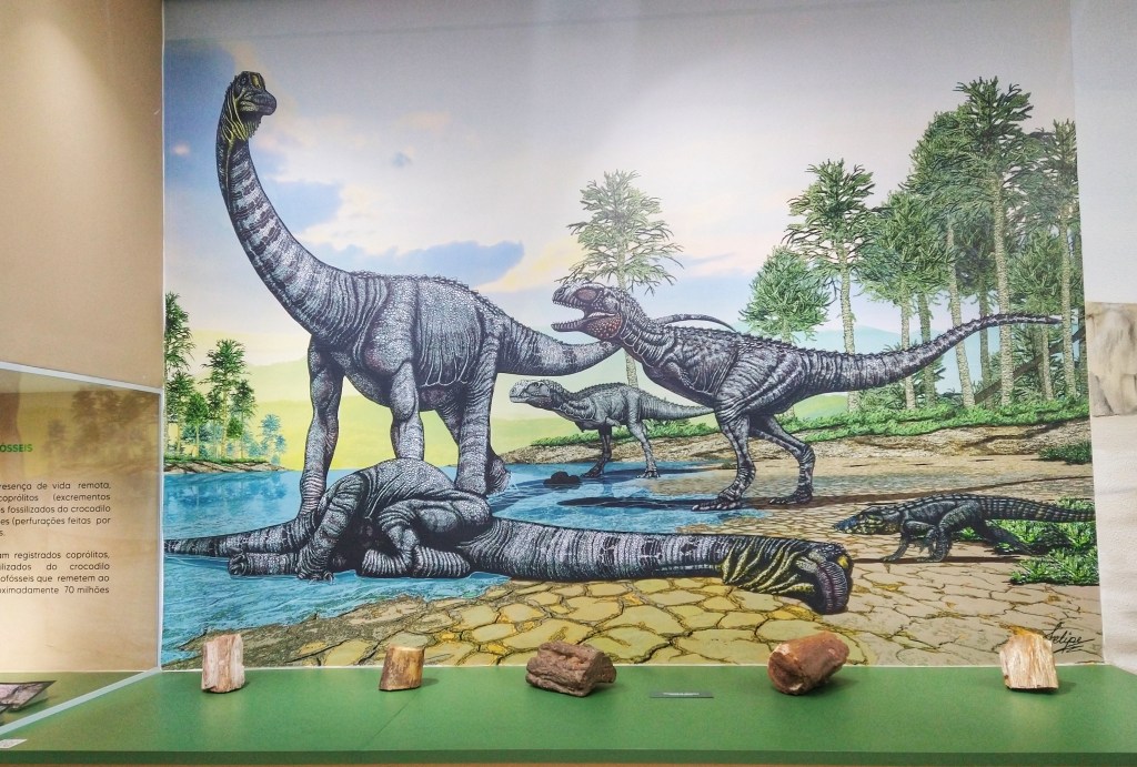 Museu de Paleontologia de Marília ganha espaço “instagramável”