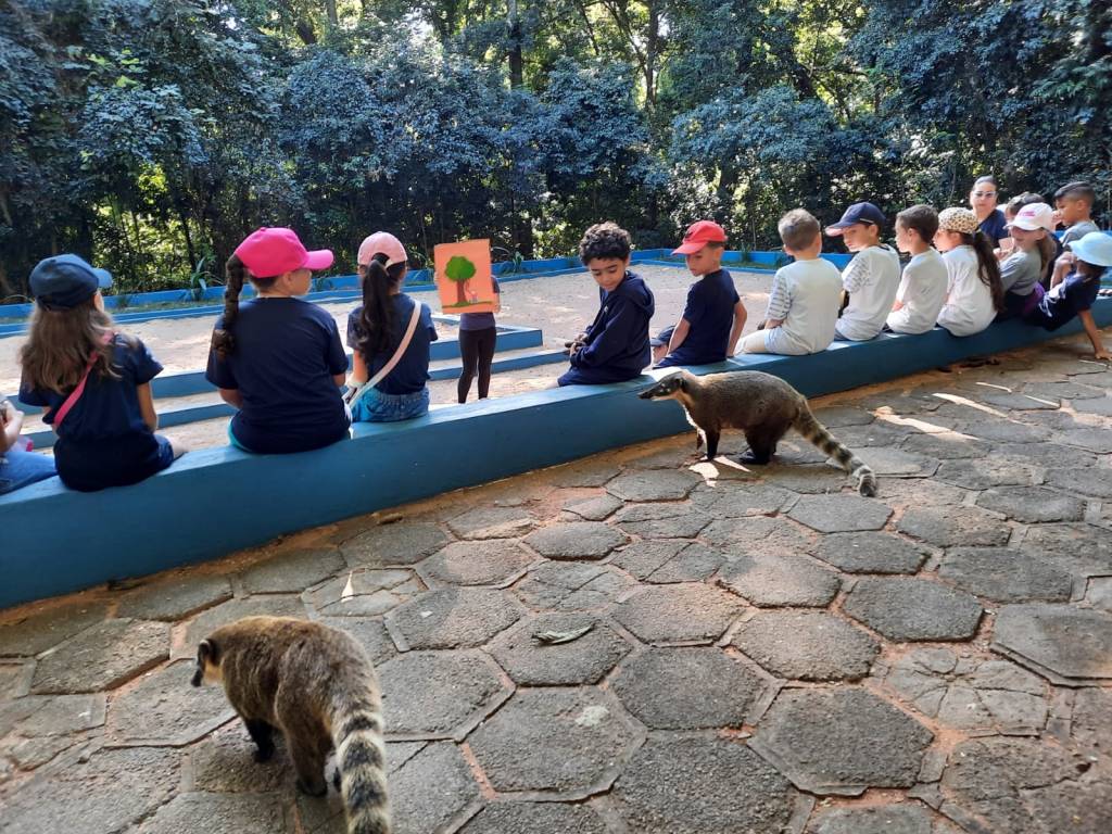 Educação Ambiental: Bosque Municipal recebe alunos e orienta sobre a importância da preservação da natureza e do&nbsp;ecossistema