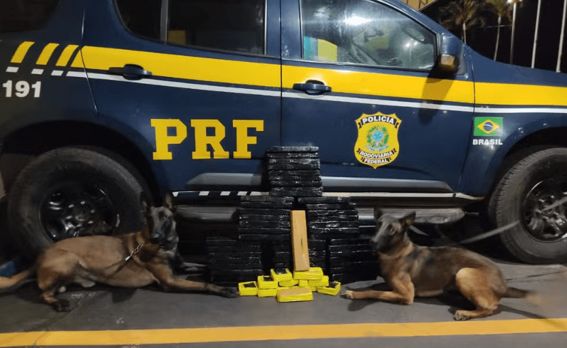 PRF Apreende 44 Kg de Maconha com Ajuda de Cães Farejadores em&nbsp;Ourinhos