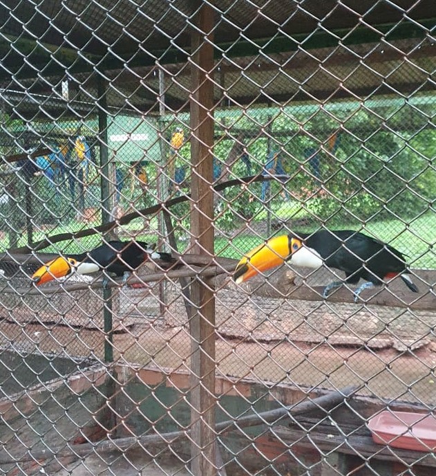 Entrevias realiza blitz no combate ao tráfico de animais silvestres em comemoração ao Dia do Meio&nbsp;Ambiente