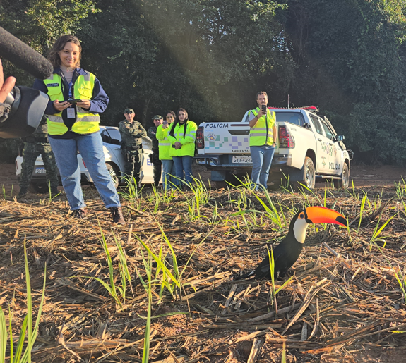 Entrevias realizou a soltura de sete animais silvestres no Dia Mundial do Meio&nbsp;Ambiente