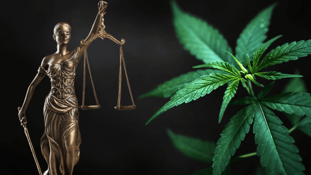 STF confirma decisão sobre porte de maconha para uso&nbsp;pessoal