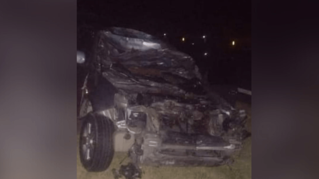 Acidente grave na SP-333 deixa animal de grande porte morto e carro totalmente&nbsp;destruído