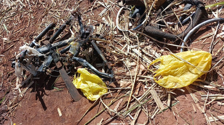 Corpo é encontrado em canavial da Região; Polícia investiga possível identidade e causa da&nbsp;morte