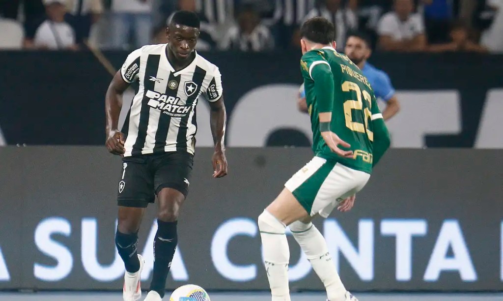 Botafogo recebe Palmeiras no primeiro jogo das oitavas da&nbsp;Libertadores