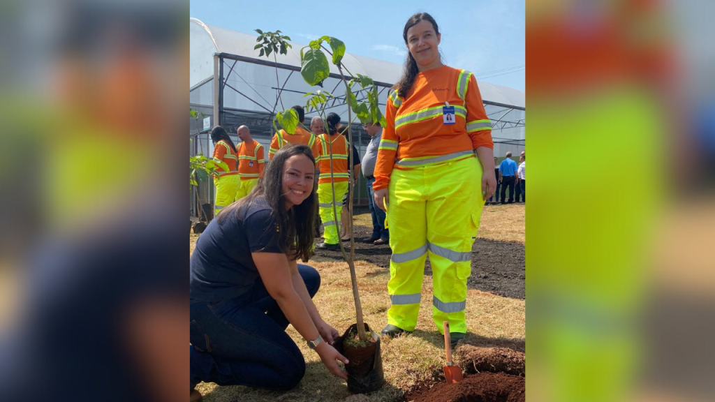 Entrevias comemora Dia da Árvore com plantio em Garça e Ribeirão&nbsp;Preto