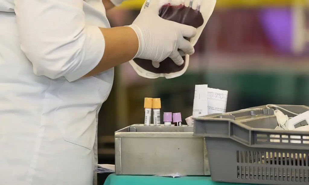 Justiça: STF reconhece direito de testemunhas de Jeová recusar&nbsp;transfusão