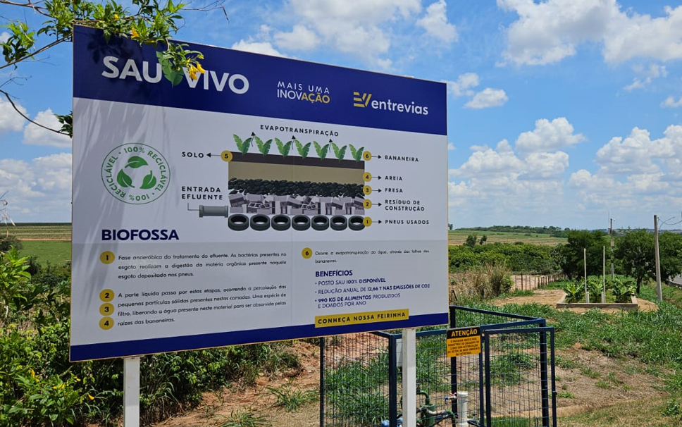 Projeto “SAU VIVO” da Concessionária Entrevias Produz Alimentos e Reduz Emissão de&nbsp;Gazes