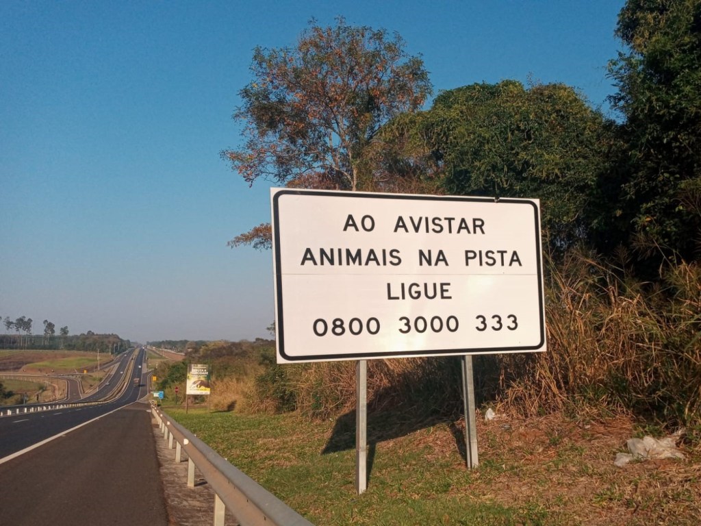 Concessionária Alerta Motoristas sobre os Cuidados ao Avistar Animais na&nbsp;Rodovia