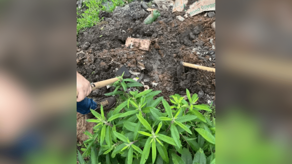 Corpo de Homem é Encontrado Enterrado em Zona Rural na&nbsp;Região