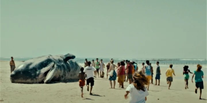 ‘Sem coração’, filme rodado em Alagoas, estará em cartaz no Clube de Cinema de Marília nesta quinta-feira&nbsp;(5)