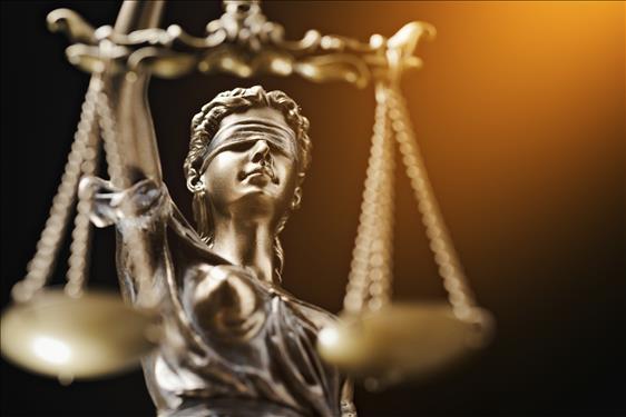 TJ-SP mantém condenação e determina indenização por morte de cavalos causadas por fogos de artifício em&nbsp;Réveillon