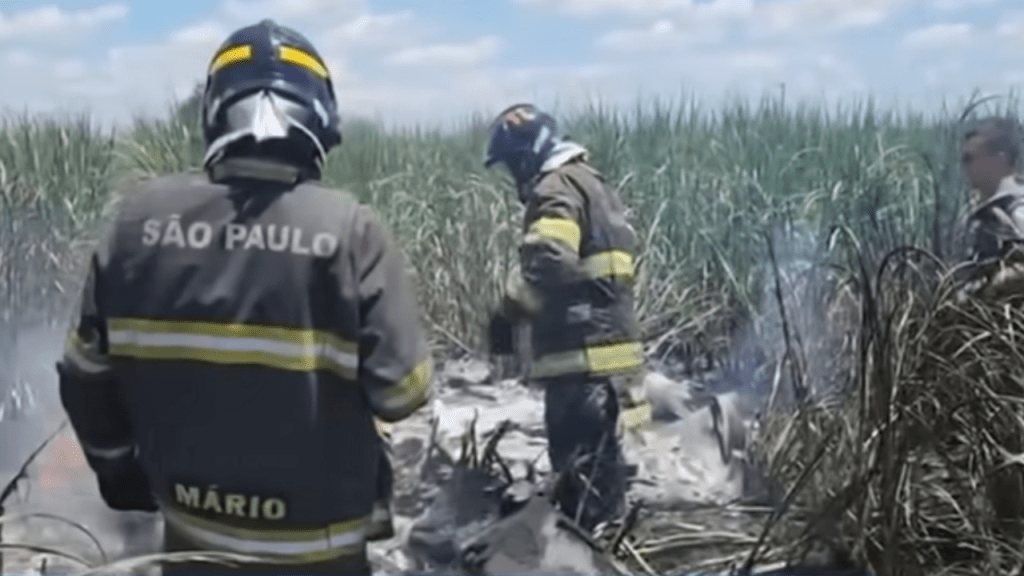 Duas pessoas morrem após queda de aeronave em canavial no interior de São&nbsp;Paulo