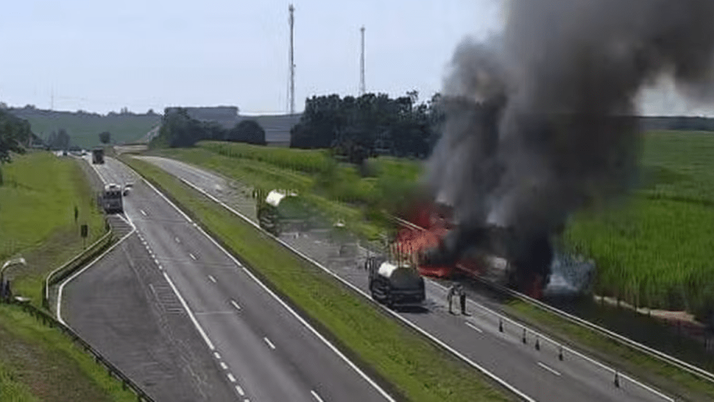 Caminhão com carga de frangos vivos pega fogo em rodovia na&nbsp;Região