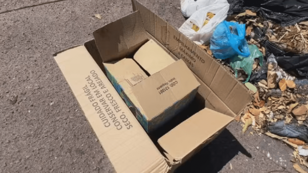 Absurdo: Mulher é Presa Após Deixar Recém-Nascido Abandonado em Caixa de Papelão na&nbsp;Região