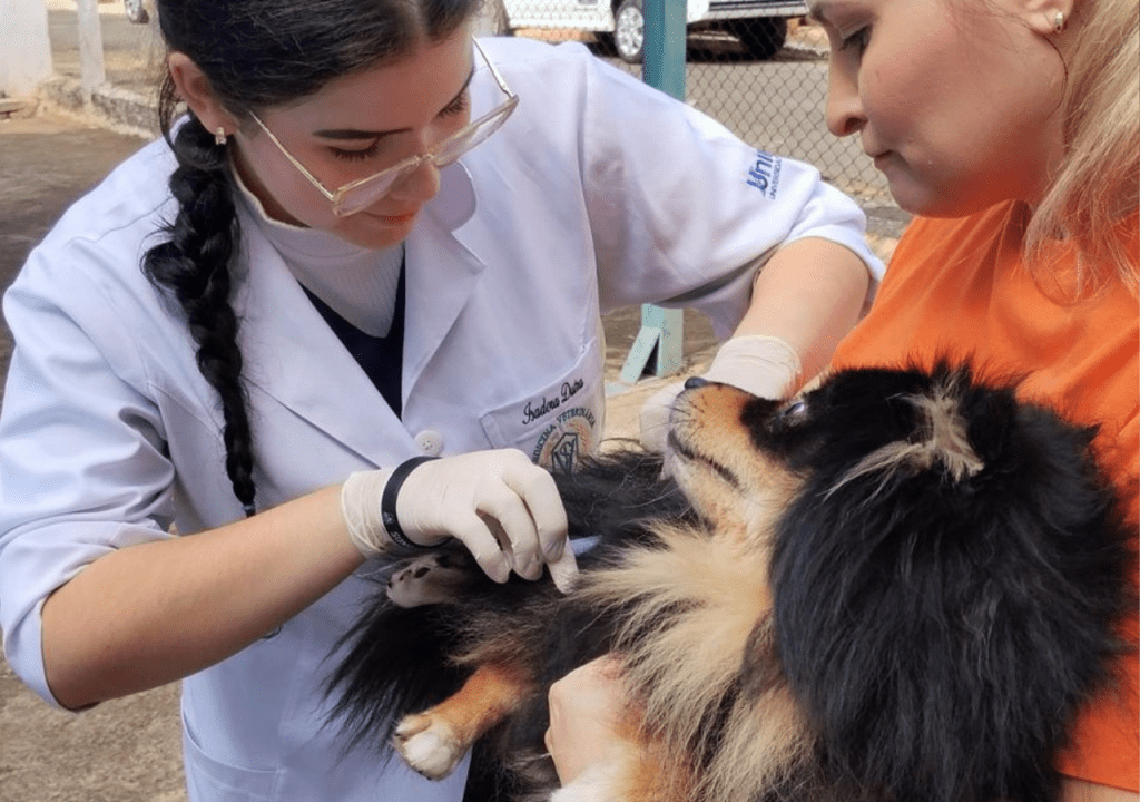 Vacinação Antirrábica está marcada para este sábado, dia 26, na UBS Nova&nbsp;Marília