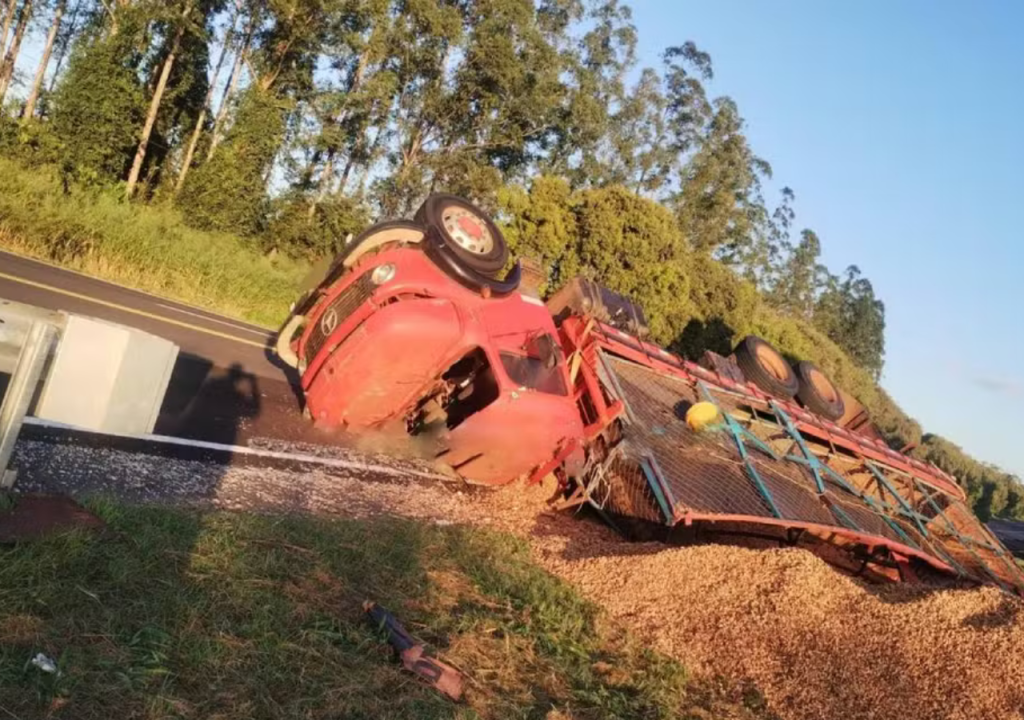 Caminhão com 15 Toneladas de Amendoim Tomba na&nbsp;SP-294