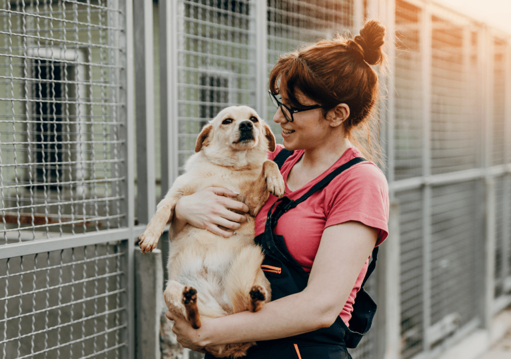 Feira de Adoção “MatchPet” será atração no Domingo da Família neste domingo, 25 de&nbsp;maio