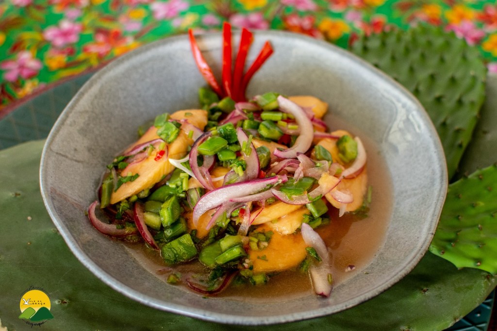 VI Concurso de Gastronomia PANC acontece no próximo&nbsp;sábado