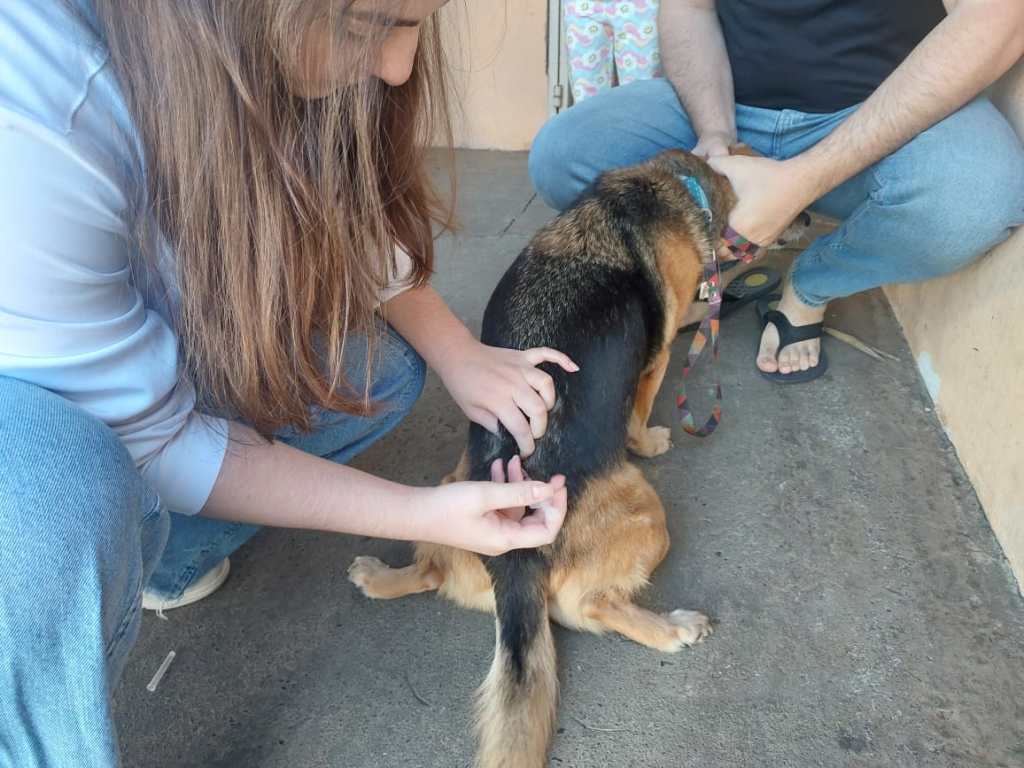 SAÚDE: Marília realiza mais uma ação de vacinação antirrábica neste&nbsp;sábado
