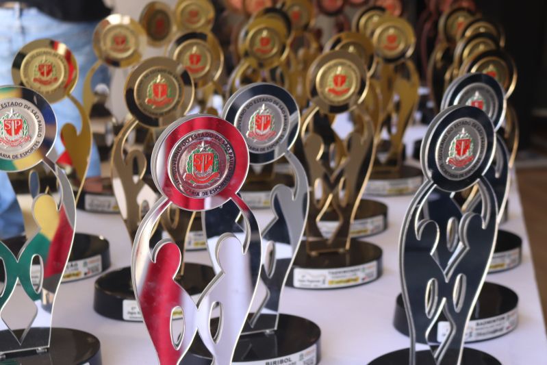 SELJ fecha 2025 com expansão histórica, recorde de alunos e conquistas em nível estadual e&nbsp;nacional