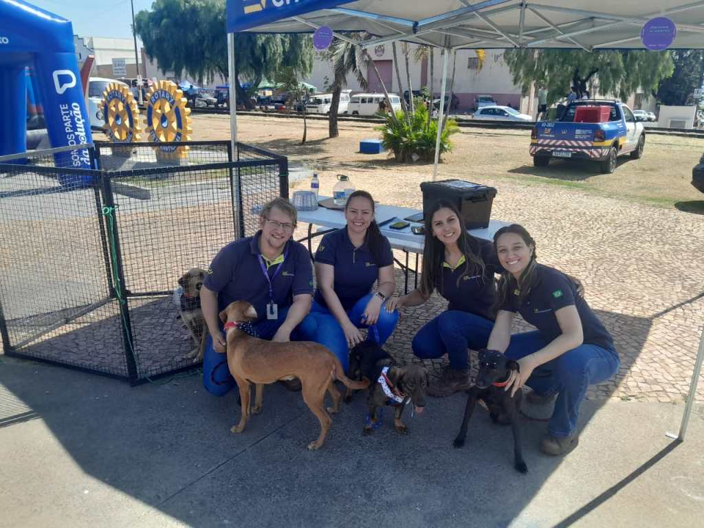 Programa Adotar é o Bicho realizou 60 adoções em&nbsp;2025