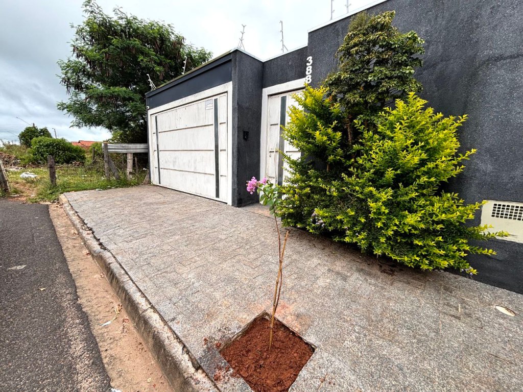 Projeto “Planta Aí” registra mais de 60 pedidos em apenas 15 dias em&nbsp;Marília