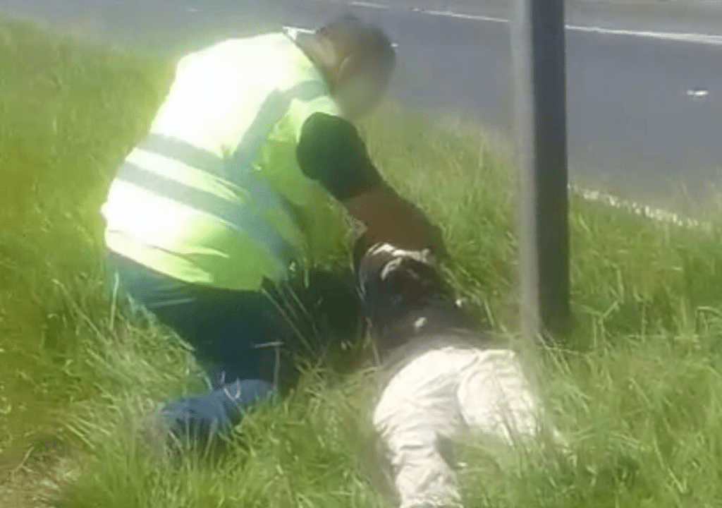 Jovem fica gravemente ferido após acidente de moto na SP-294, em Marília
