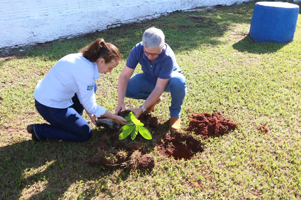 HBU e Prefeitura de Echaporã realizam plantio de mudas frutíferas na&nbsp;UPA