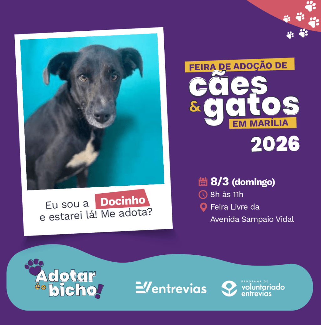 Entrevias realiza mais uma edição da Feira de Adoção em&nbsp;Marília