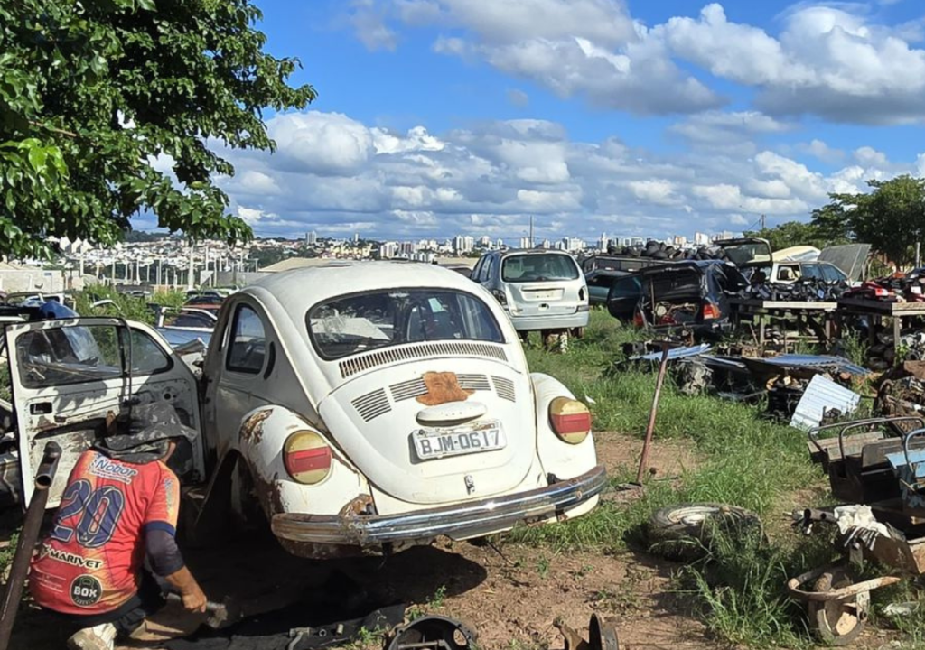 Fiscalização da Prefeitura identifica irregularidades ambientais em desmanche na zona Norte